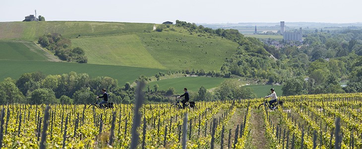 Visite-degustations-vignobles-champagne-velo-2