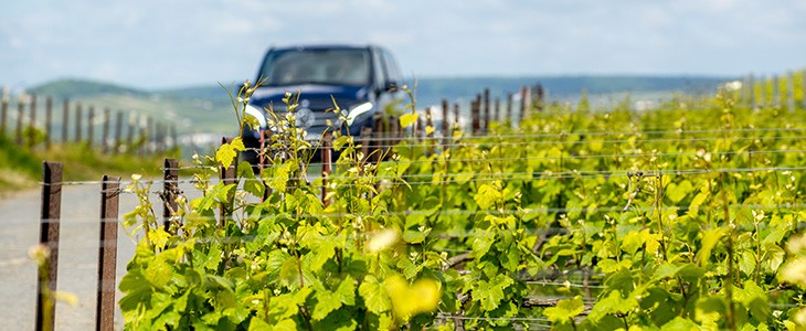 journee-decouverte-vins-vignobles-cote-or- bourgogne-1