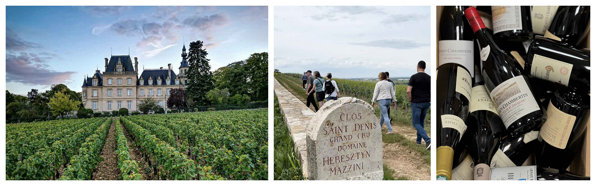 gevrey-chambertin grand vins