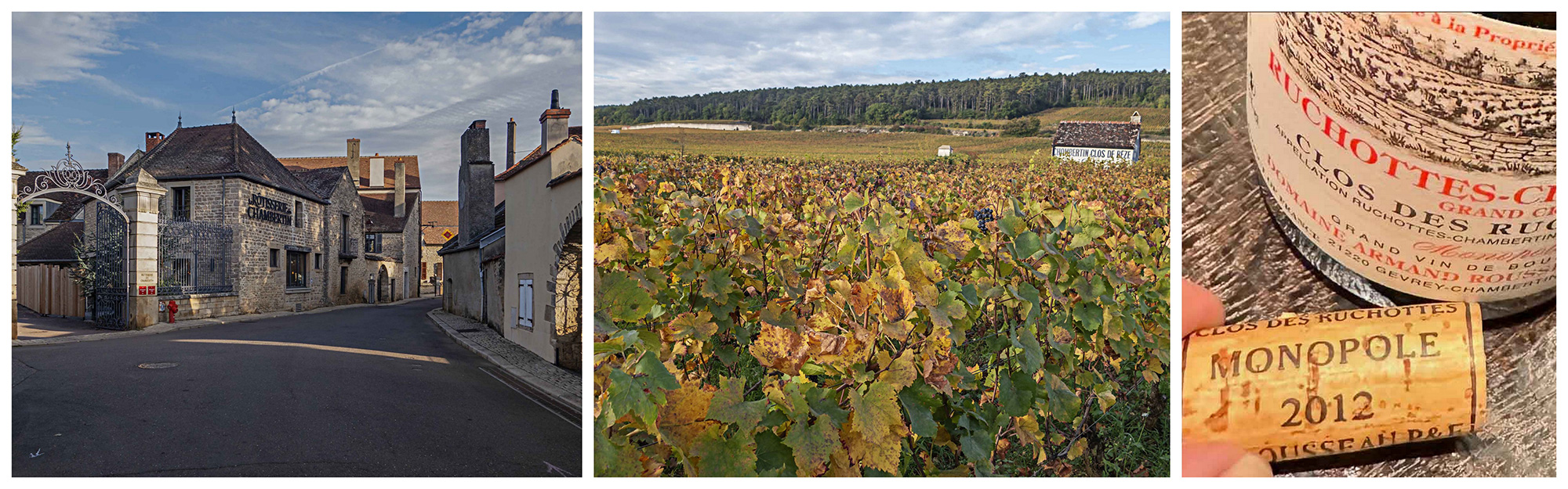 gevrey-chambertin grand vins