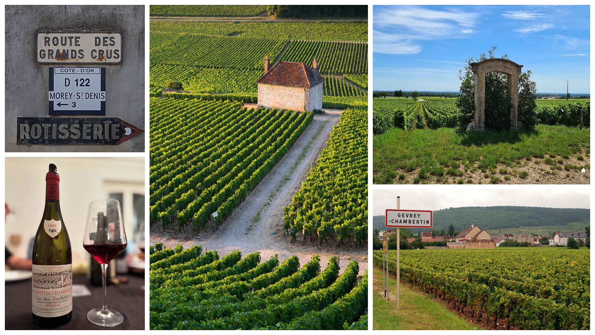 Les secrets des vins de Gevrey-Chambertin